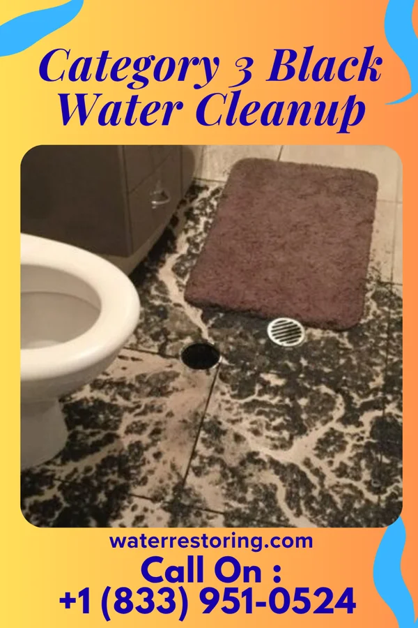 Category 3 Black Water Cleanup in Bluffton, GA