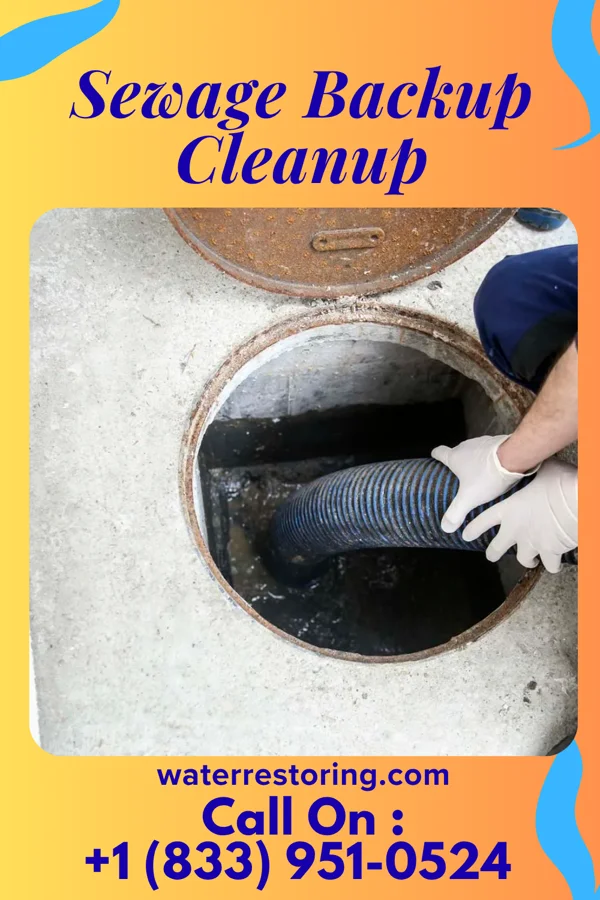 Sewage Backup Cleanup in Bluffton, GA